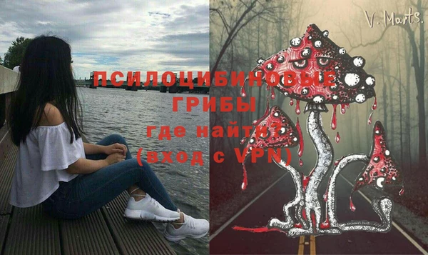 мяу мяу мука Абаза