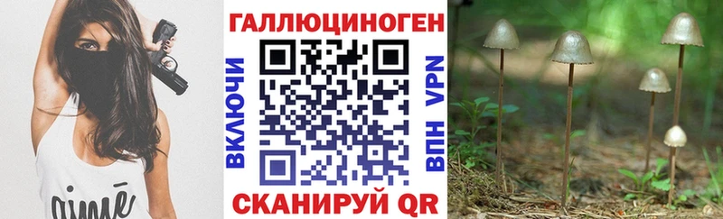 Псилоцибиновые грибы ЛСД Ленинградская