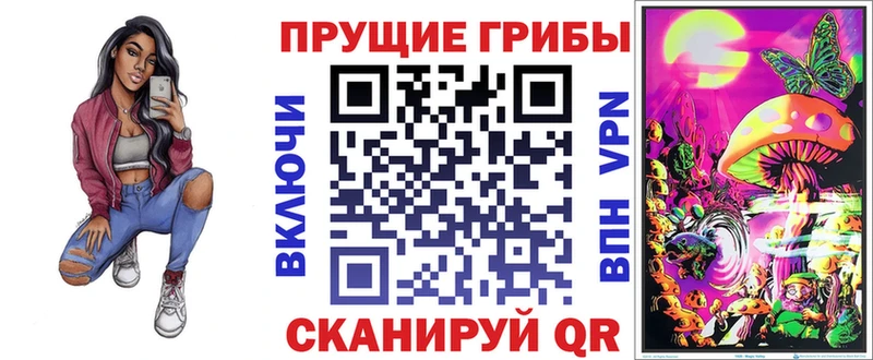 Псилоцибиновые грибы MAGIC MUSHROOMS  Ленинградская 